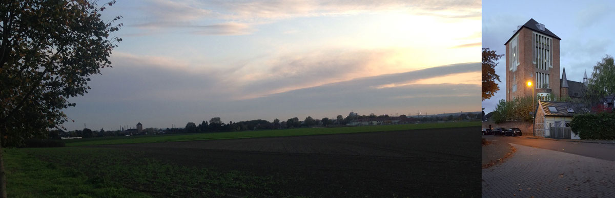 Lothar Jeuter | Schattige Lichtung K&ouml;ln-Rondorf